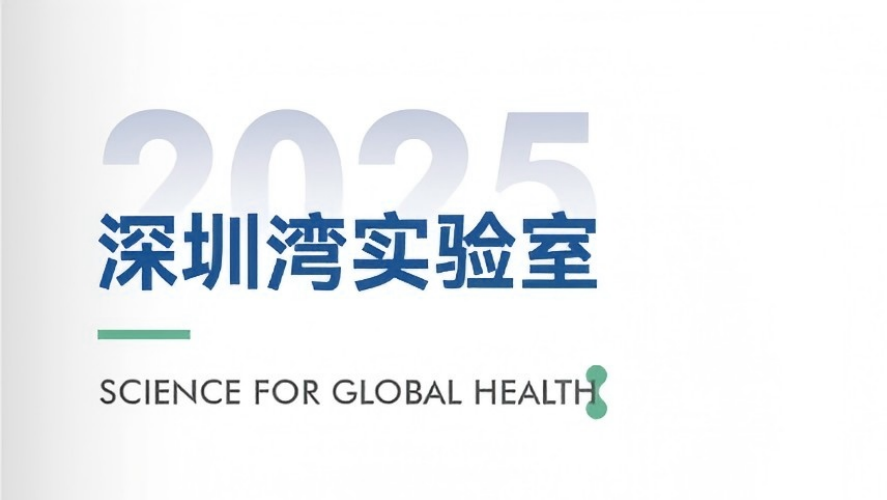 分享：深圳湾实验室2025宣传折页